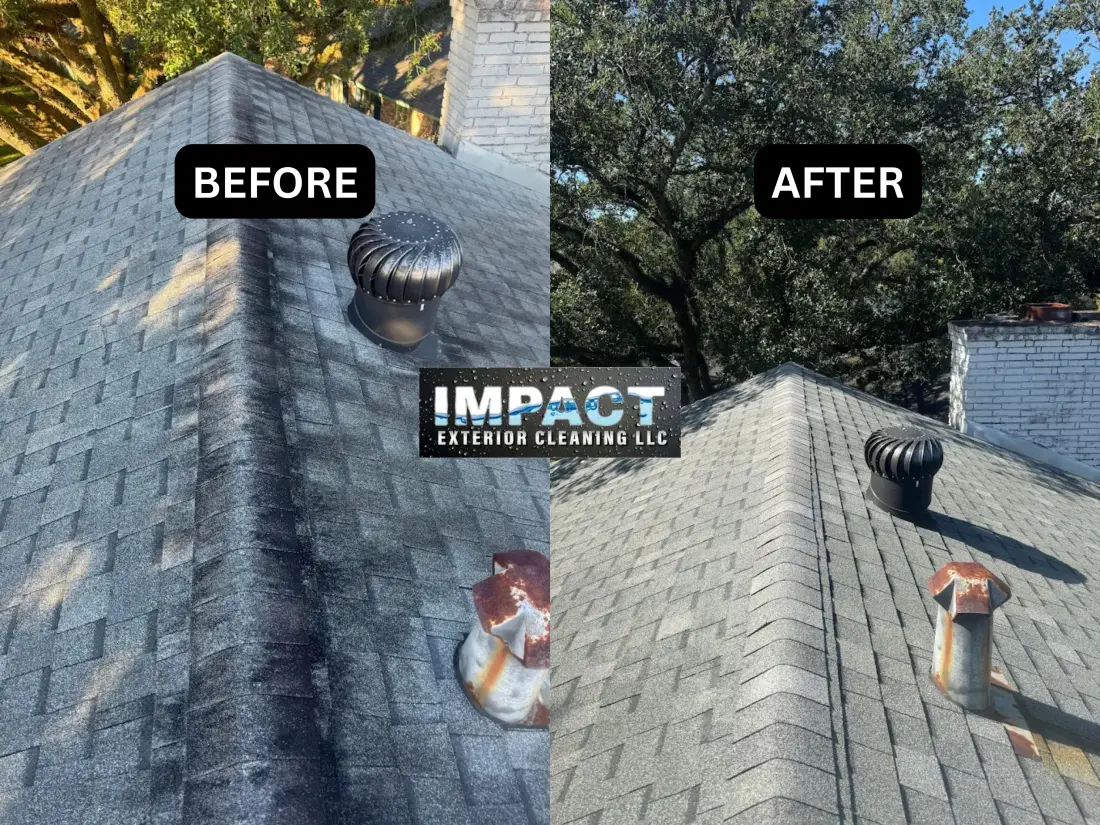 Roof Cleaning